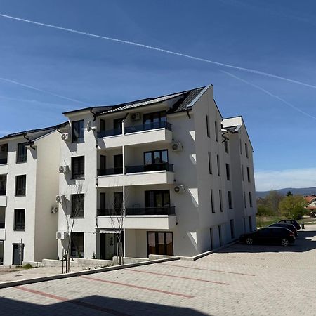 Aleksandar Apartman Sokobanja Екстериор снимка