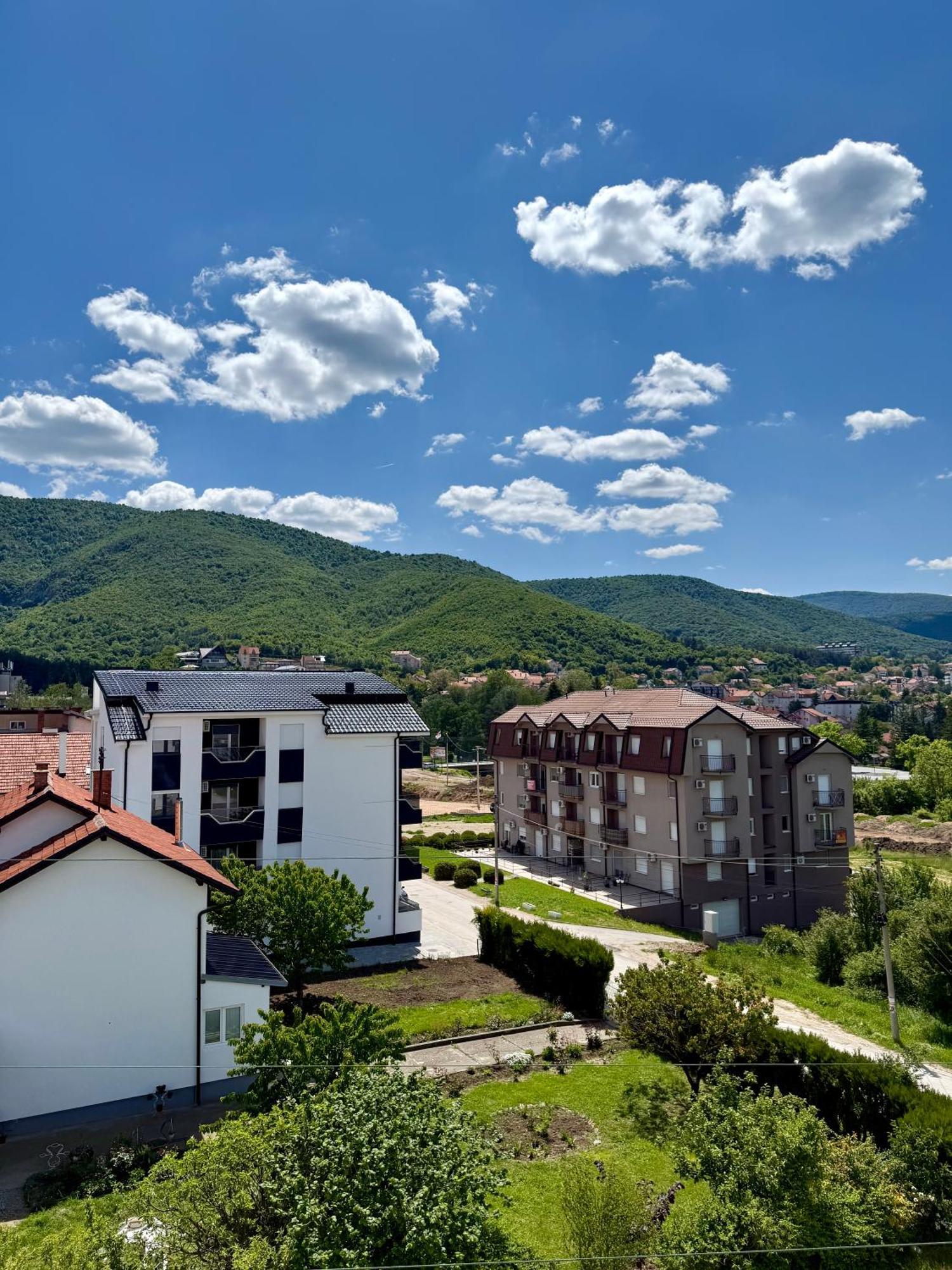 Aleksandar Apartman Sokobanja Екстериор снимка